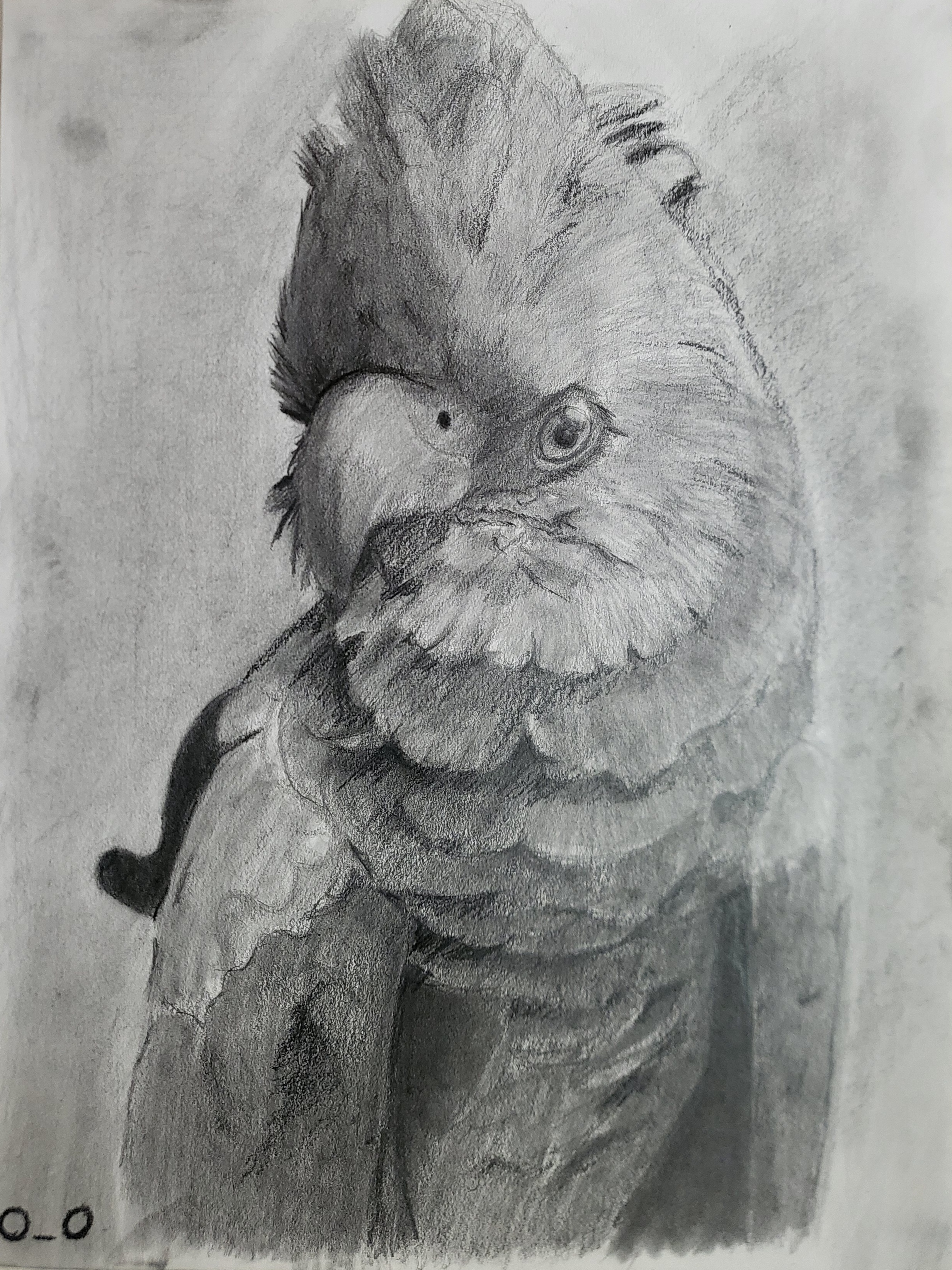 Drawing 02
