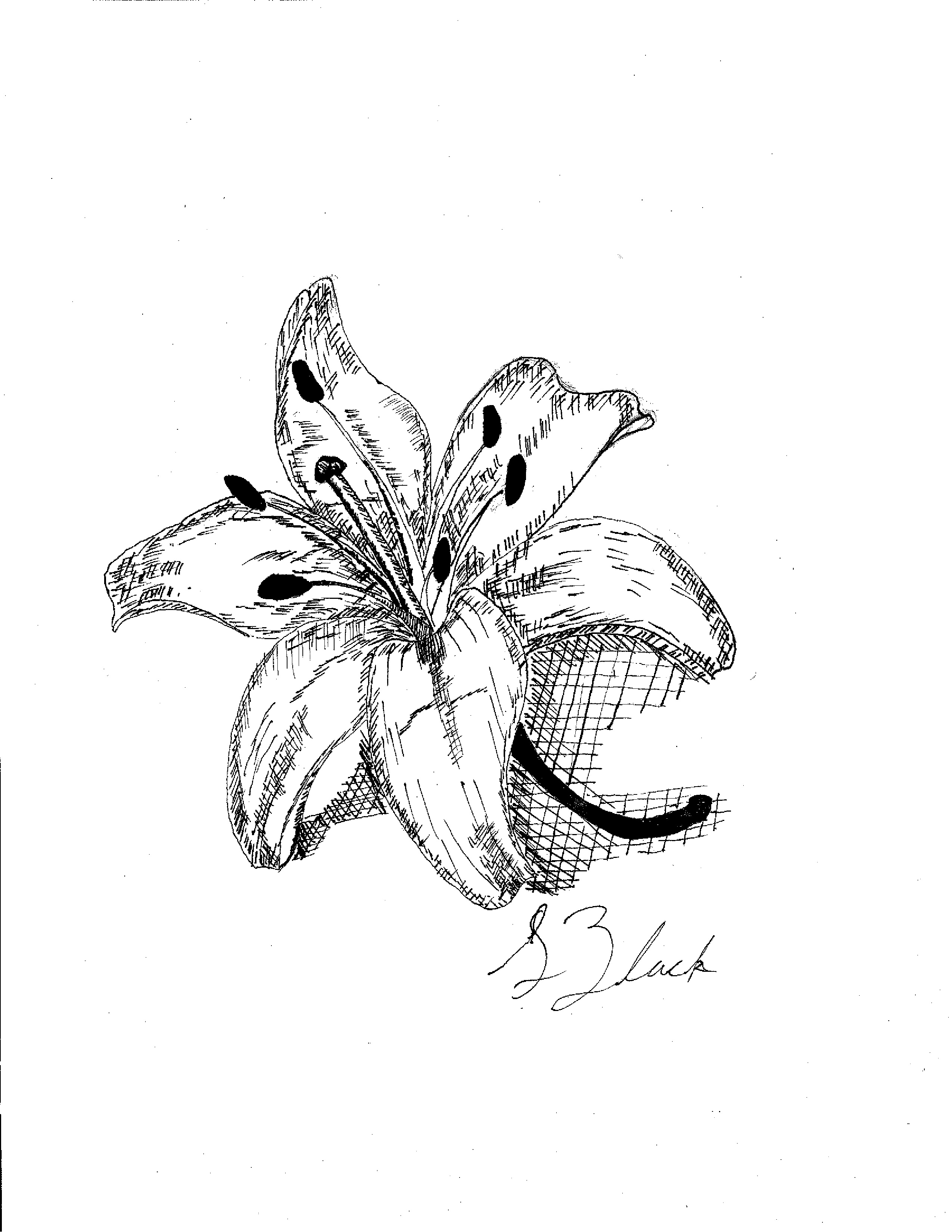 Drawing 08