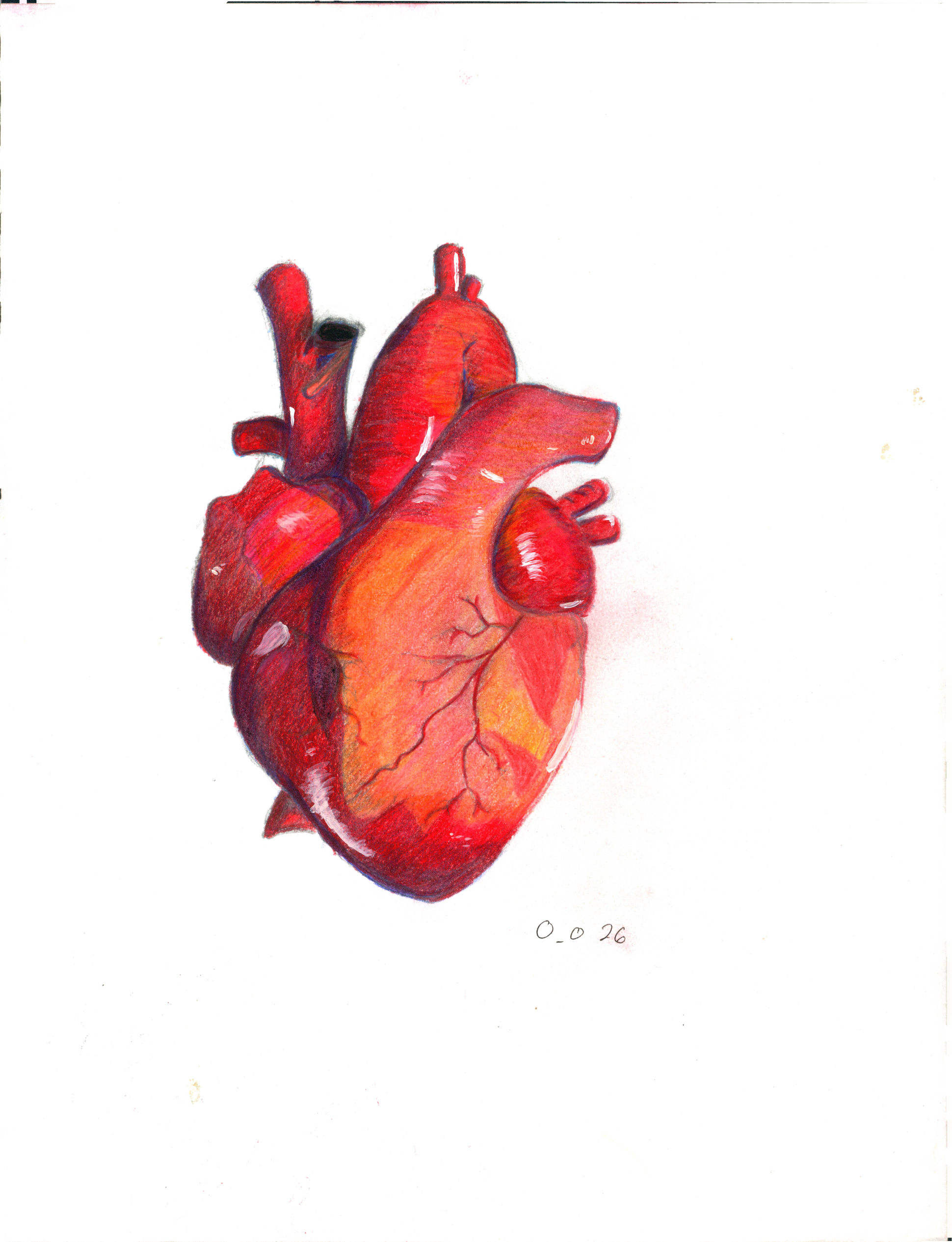 Drawing 06
